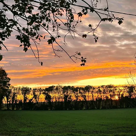Le Bonheur De L'instant